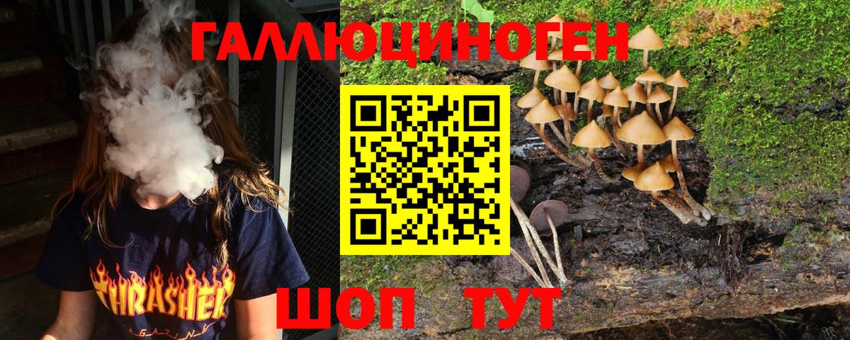 Лесосибирск  Псилоцибиновые грибы мухоморы  Галлюциногенные грибы Psilocybine cubensis  Вход с VPN 